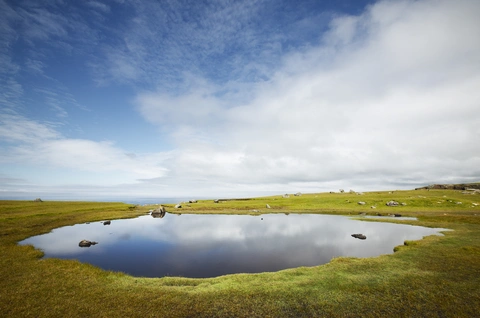 Coastal Walk of Shetland - Unst