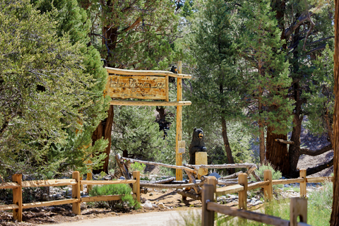 An image depicting the trail Old Pine, Sky, Meadow Loop Trail and its surrounding area.