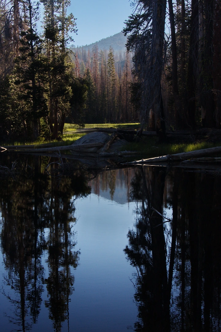 An image depicting the trail Mount Reba and Reba via Bee Gulch Trail and its surrounding area.
