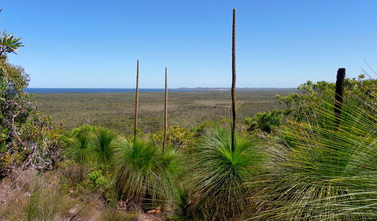 An image depicting the trail Broadwater National Park and its surrounding area.