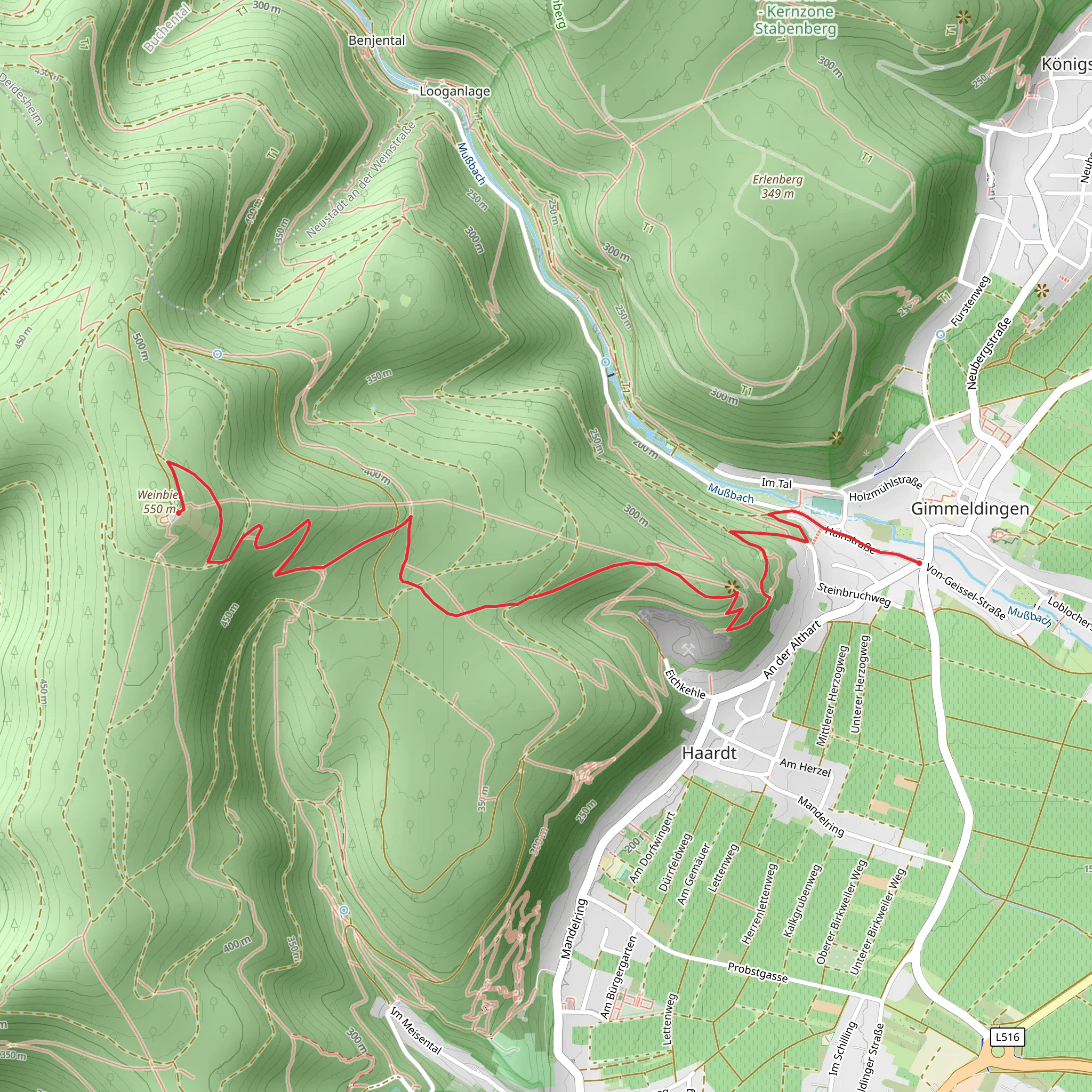 Gimmeldingen to Weinbiet via Pfaelzerwald Gruener Punkt mobile static map
