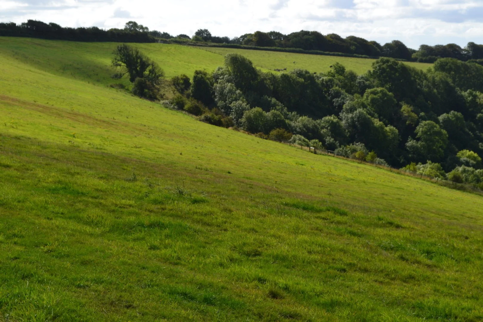 An image depicting the trail Bulbarrow Hill and its surrounding area.