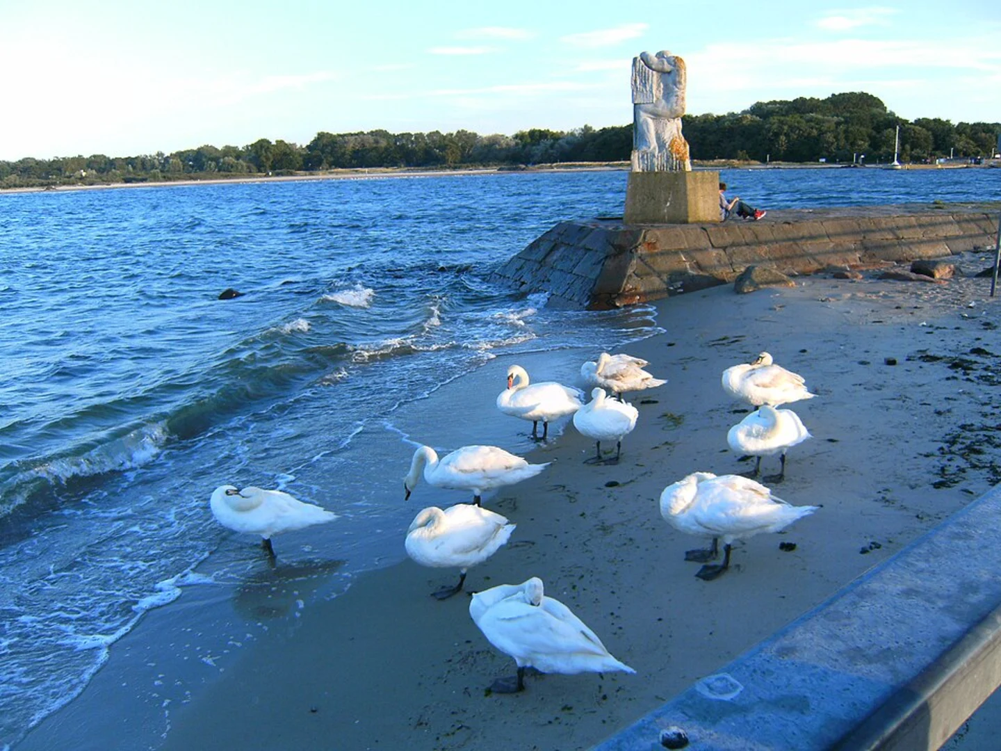 An image depicting the trail Gruenstrand and Nordermole Loop and its surrounding area.