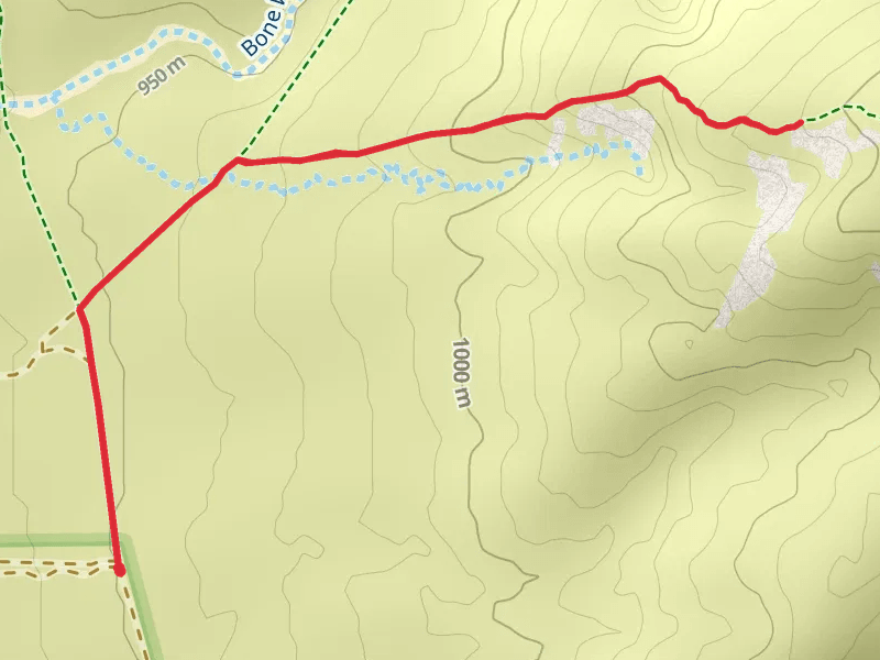 Bone Wash Trail and Sand Hill Trail