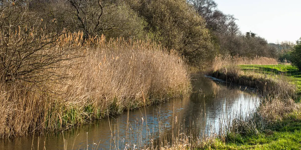 Wicken Fen Boardwalk Trail - Cambridgeshire