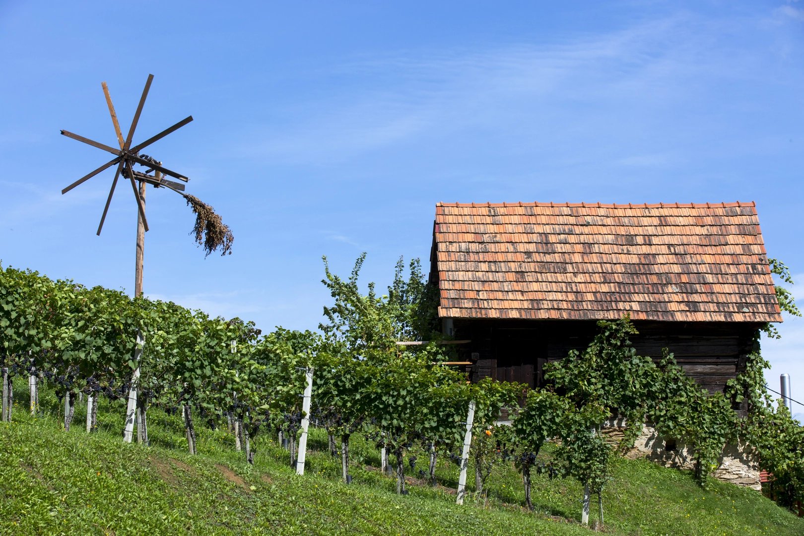 An image depicting the trail Kelten-Erlebnisweg and its surrounding area.