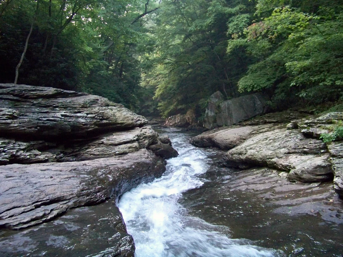 Ohiopyle - Meadow Run Loop Trail