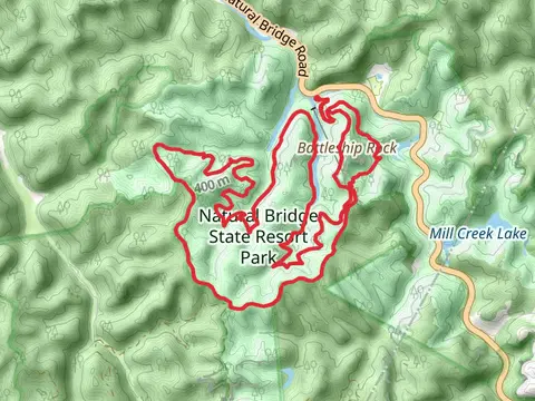 Low Gap, Rock Garden and Hood's Branch Loop Trail