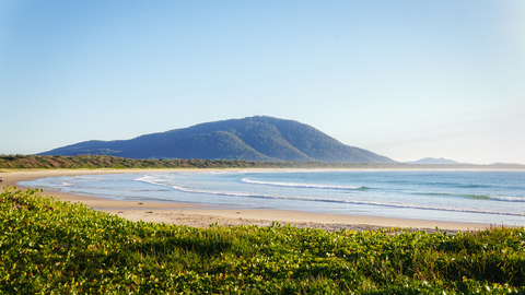 An image depicting the trail Den Fenella Track and its surrounding area.