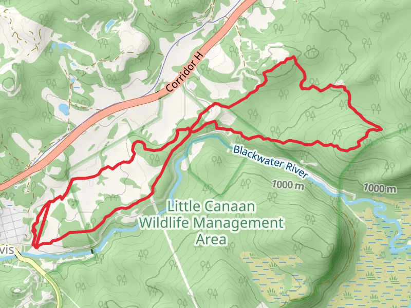 Moon Rocks Trail and Yellow Creek Trail