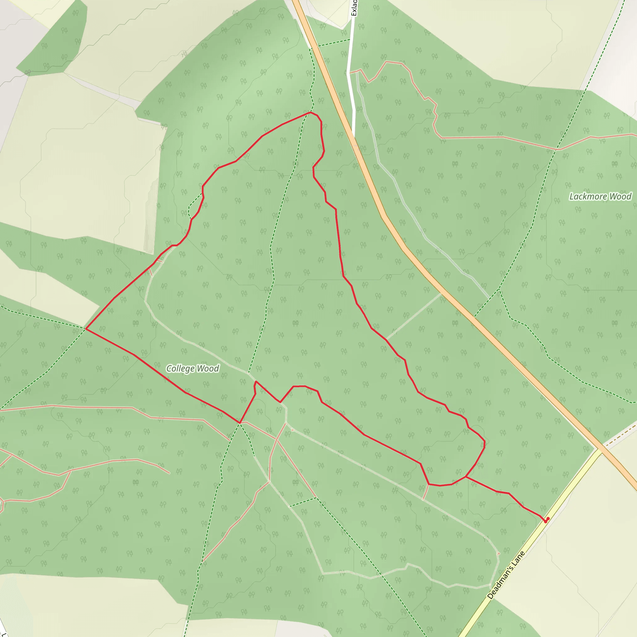 College Wood Loop mobile static map