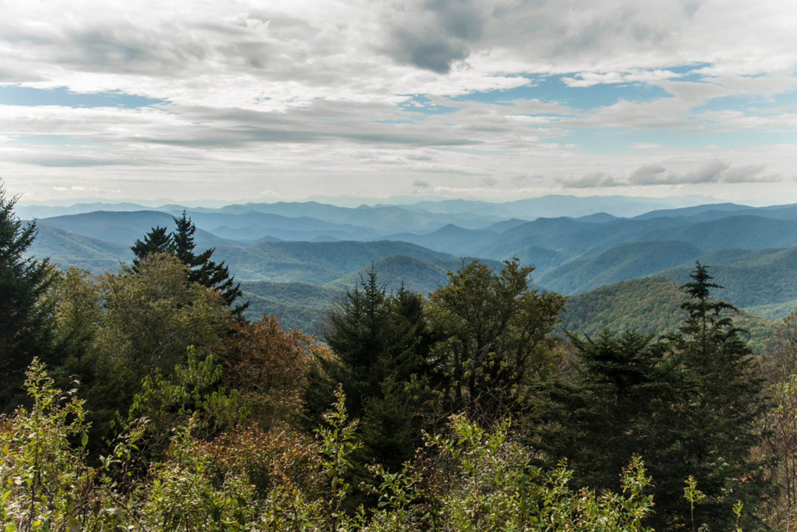 An image depicting the trail Haywood Gap Trail and its surrounding area.