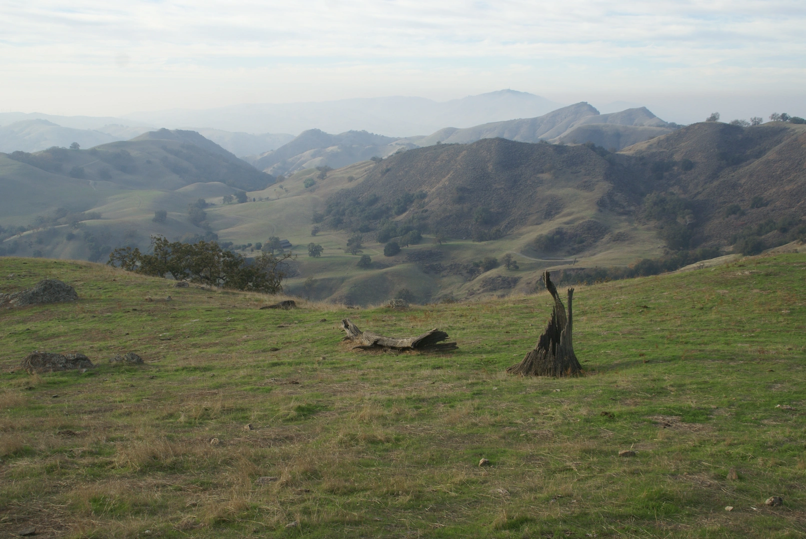 An image depicting the trail Flag Hill Trail and Indian Joe Creek Loop Trail and its surrounding area.