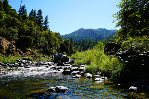 An image depicting the trail Sugar Pine Access Trail and its surrounding area.