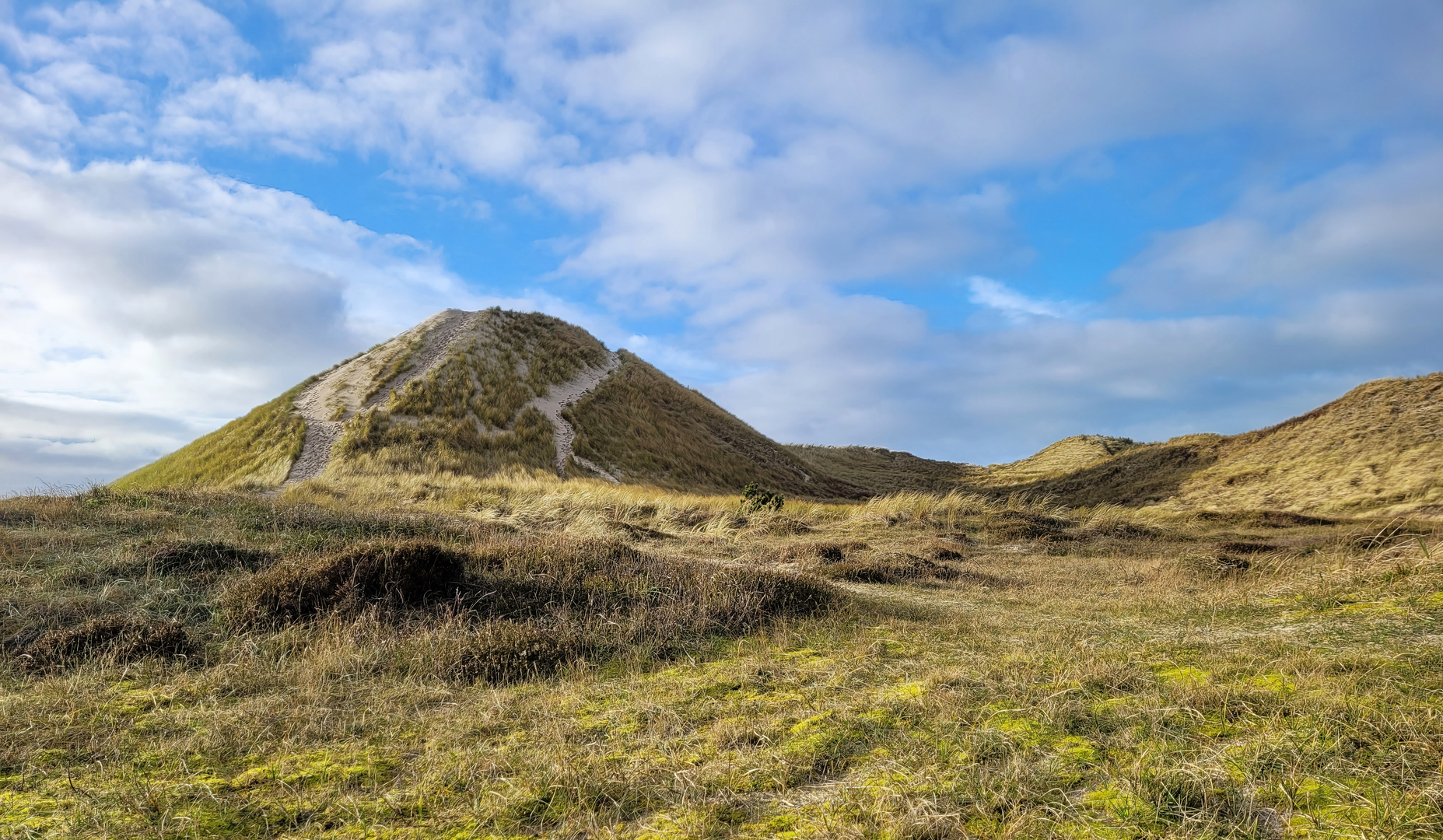 An image depicting the trail Jouke Minkemapad and Muizen Weg and Rand Weg Loop and its surrounding area.