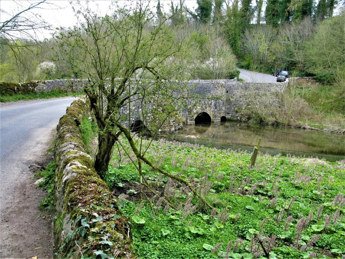 An image depicting the trail Youlgrave and Alport Loop and its surrounding area.