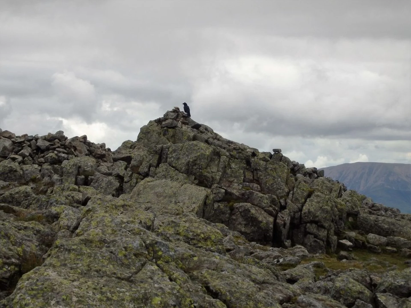 An image depicting the trail Scafell and Scafell Pinnacle Loop from Wha House and its surrounding area.
