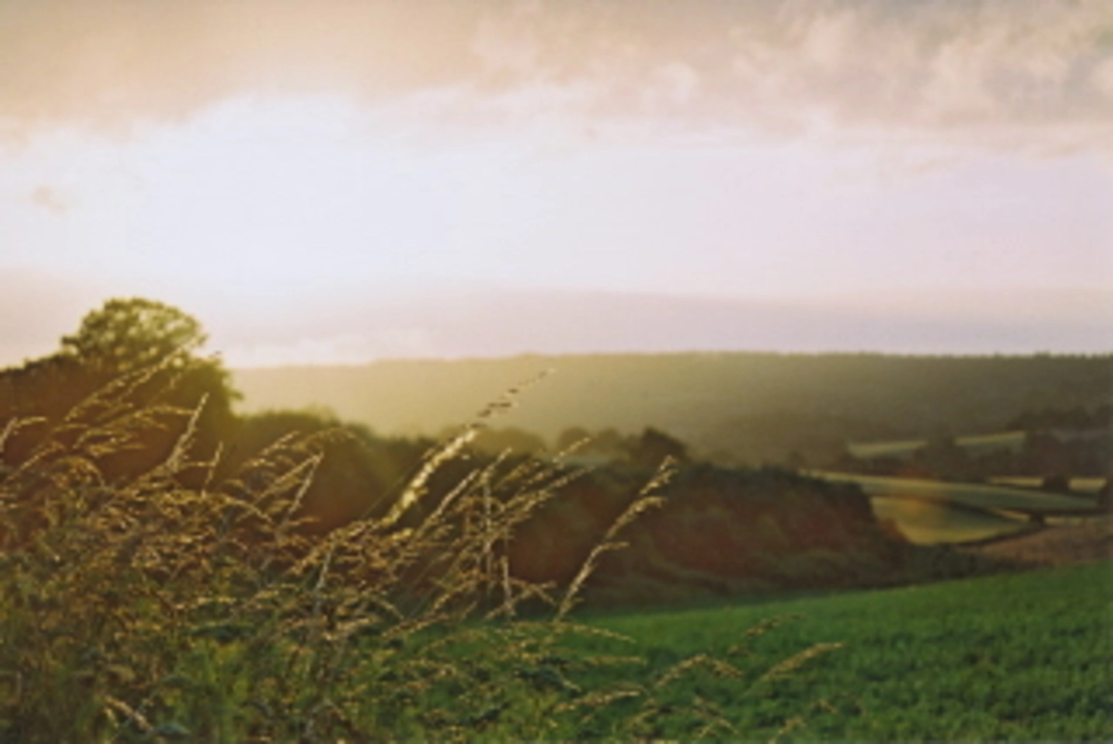 An image depicting the trail Abinger Common, Pasture Wood and Wotton Common Loop and its surrounding area.