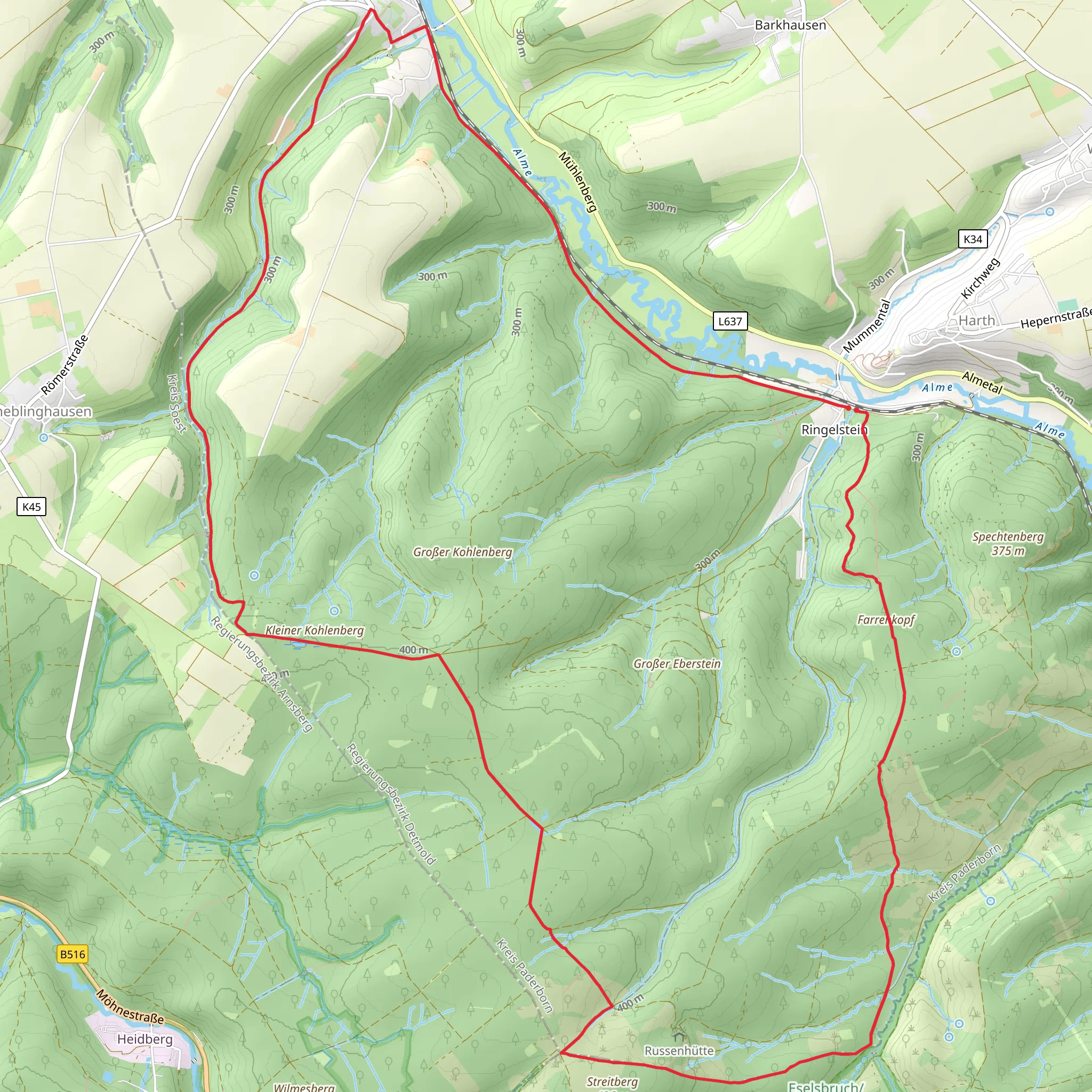 Ringelsteiner Wald Loop mobile static map