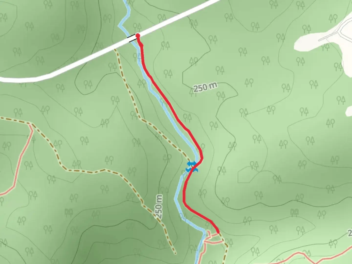 An image depicting the trail Todd Creek Falls and its surrounding area.