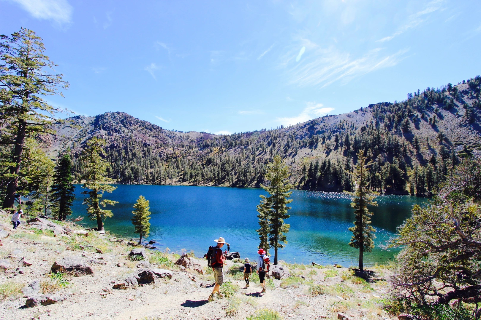 An image depicting the trail Deadfall Lakes Trail and Sisson Callahan Trail and its surrounding area.