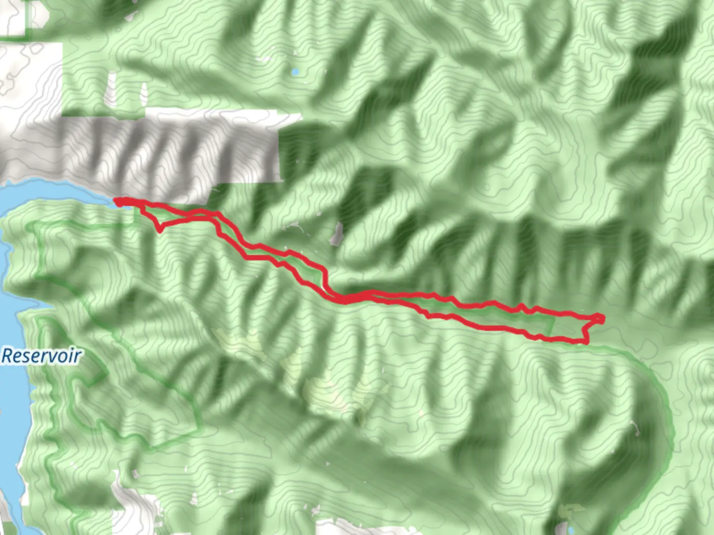 An image depicting the trail East Fork South Fork McKenzie River Loop and its surrounding area.