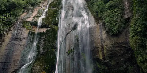 An image depicting the trail Kamahi Loop Track to Shine Falls and Heays Access Road and its surrounding area.