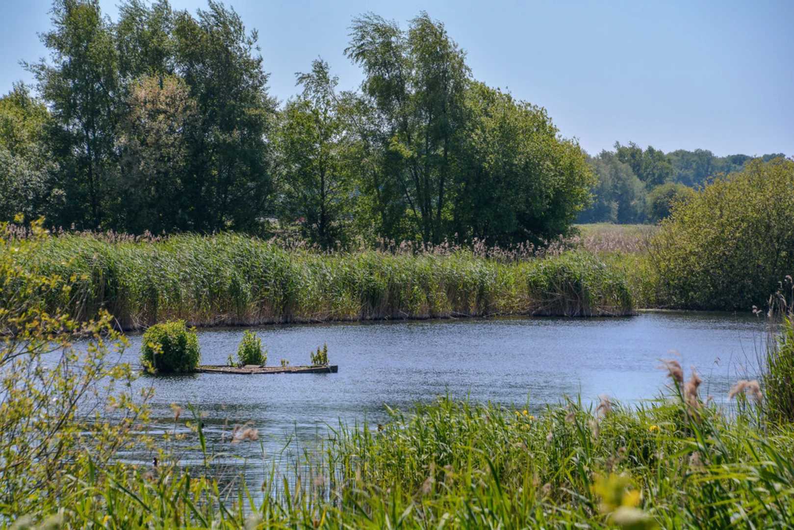 An image depicting the trail Ham Wall and its surrounding area.