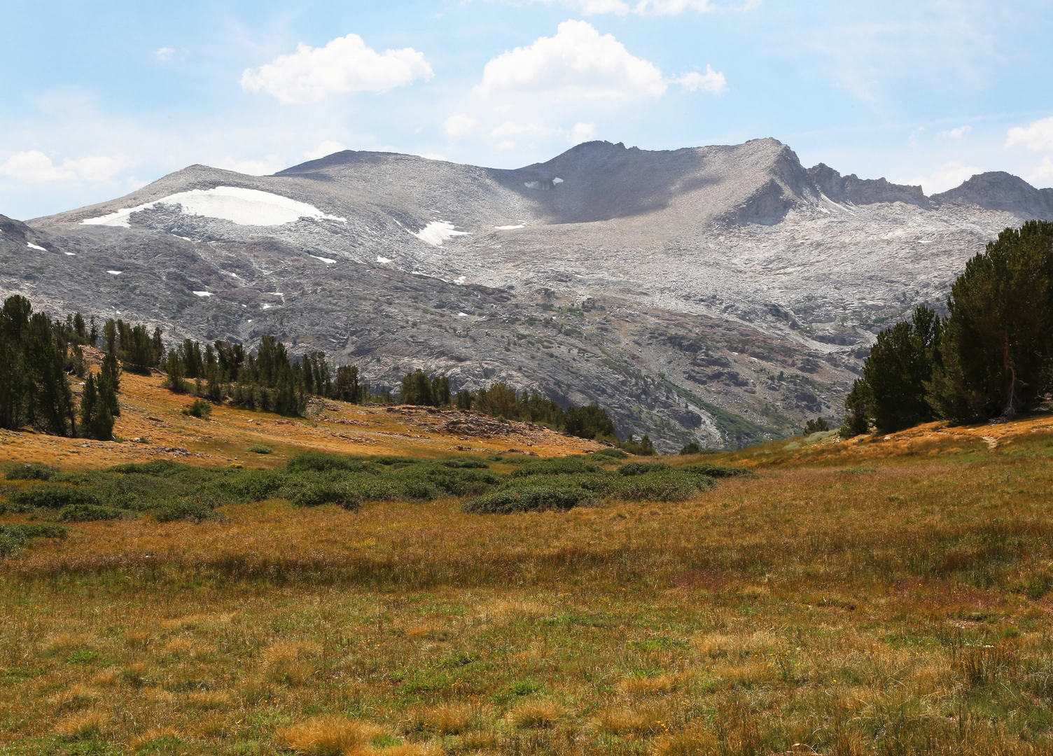 An image depicting the trail Tioga Peak via Gardisky Lake Trail and its surrounding area.