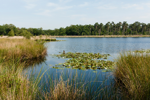 Ansumsven, Zandbergsvennen and De Weert Loop