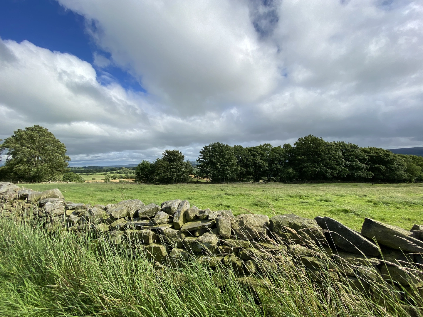 An image depicting the trail Otley Loop in Yorkshire and its surrounding area.