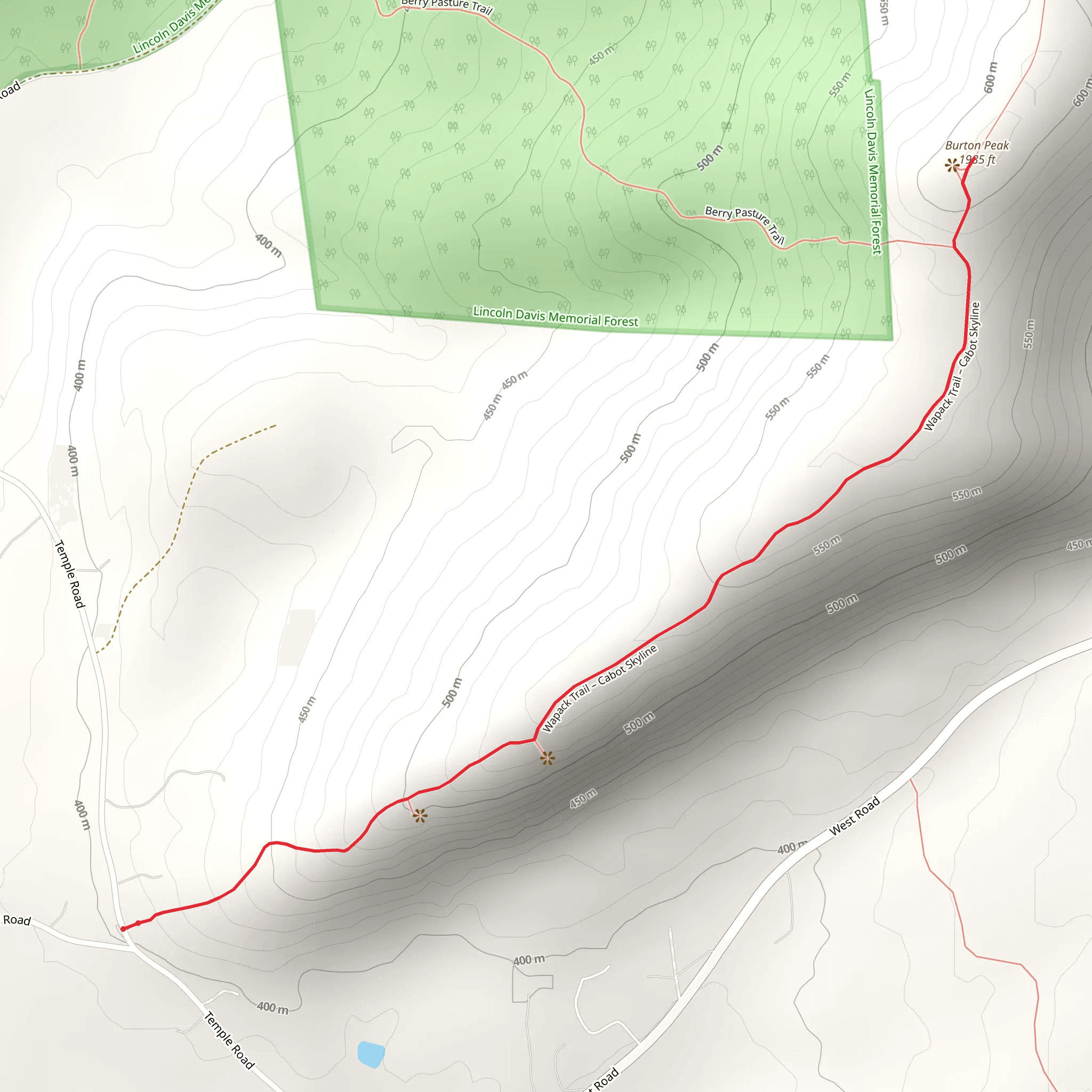 Burton Peak from Temple Road mobile static map