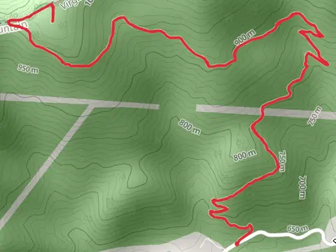 Appalachian Trail from Pocahontas Road