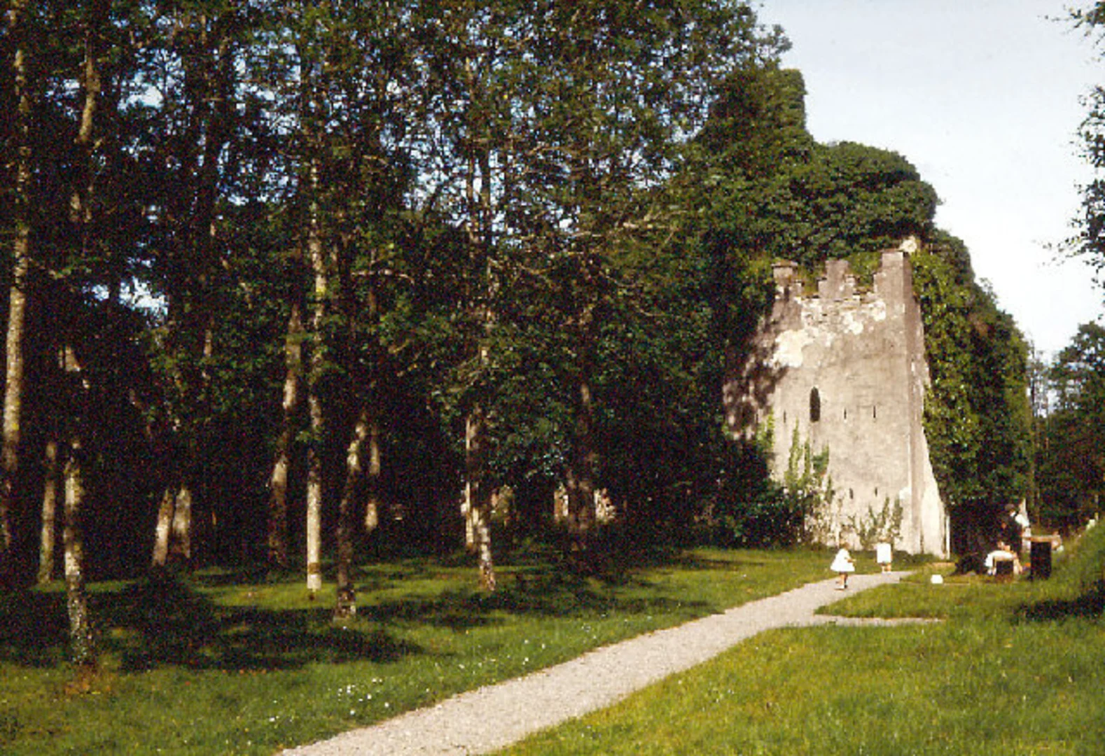 An image depicting the trail Castle Caldwell Forest - Beechwood Walk and its surrounding area.