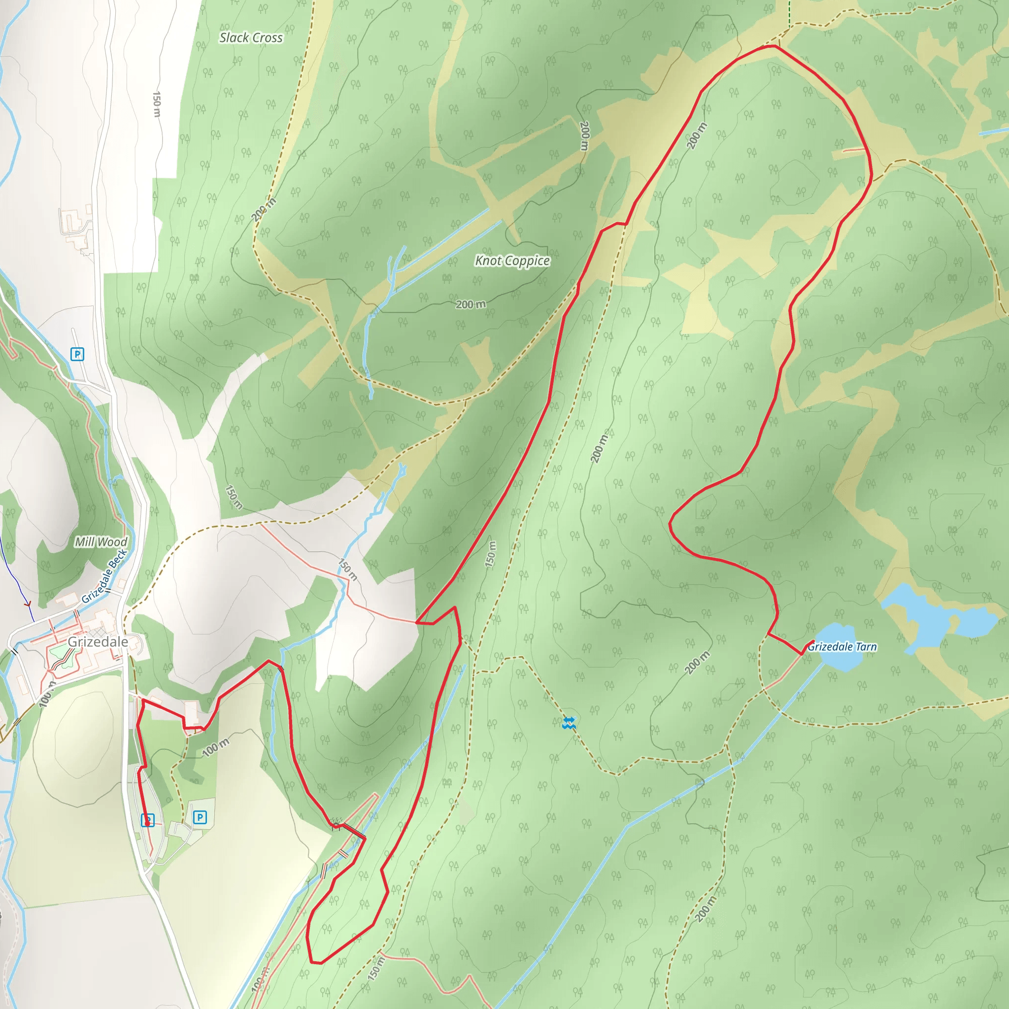 Grizedale Tarn Walk mobile static map