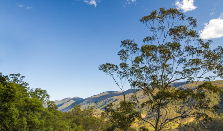 An image depicting the trail Woko National Park and its surrounding area.