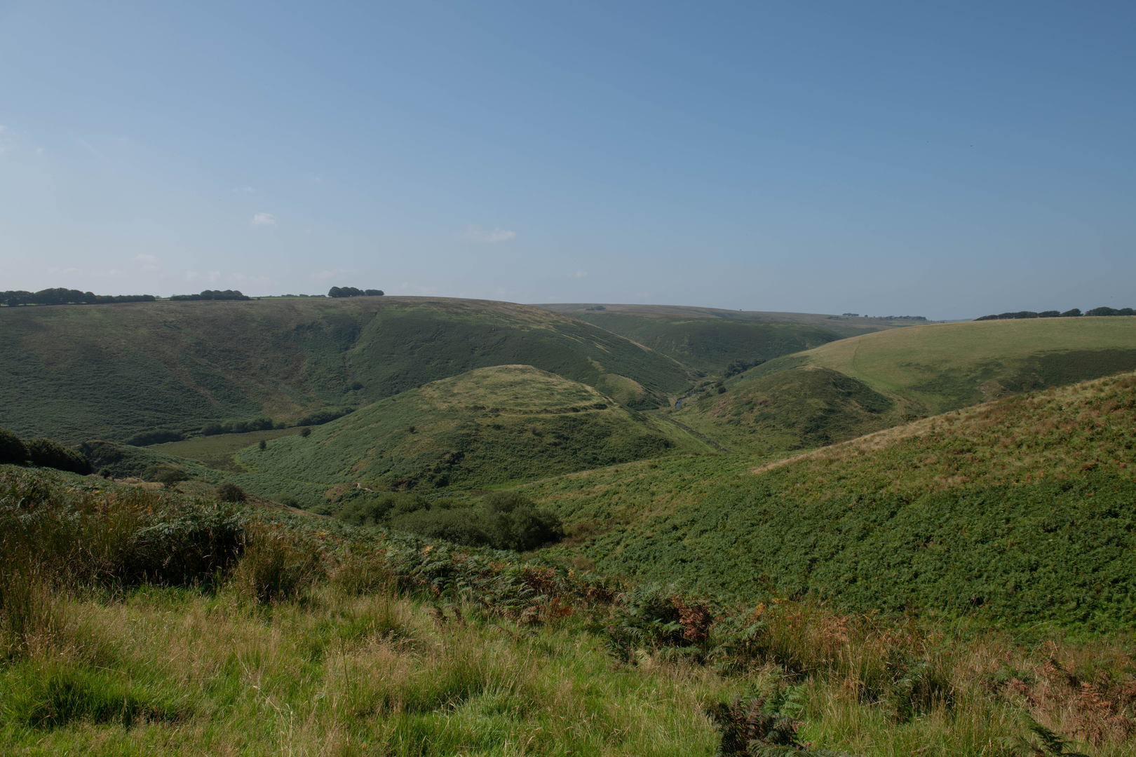 An image depicting the trail Barle Valley and its surrounding area.