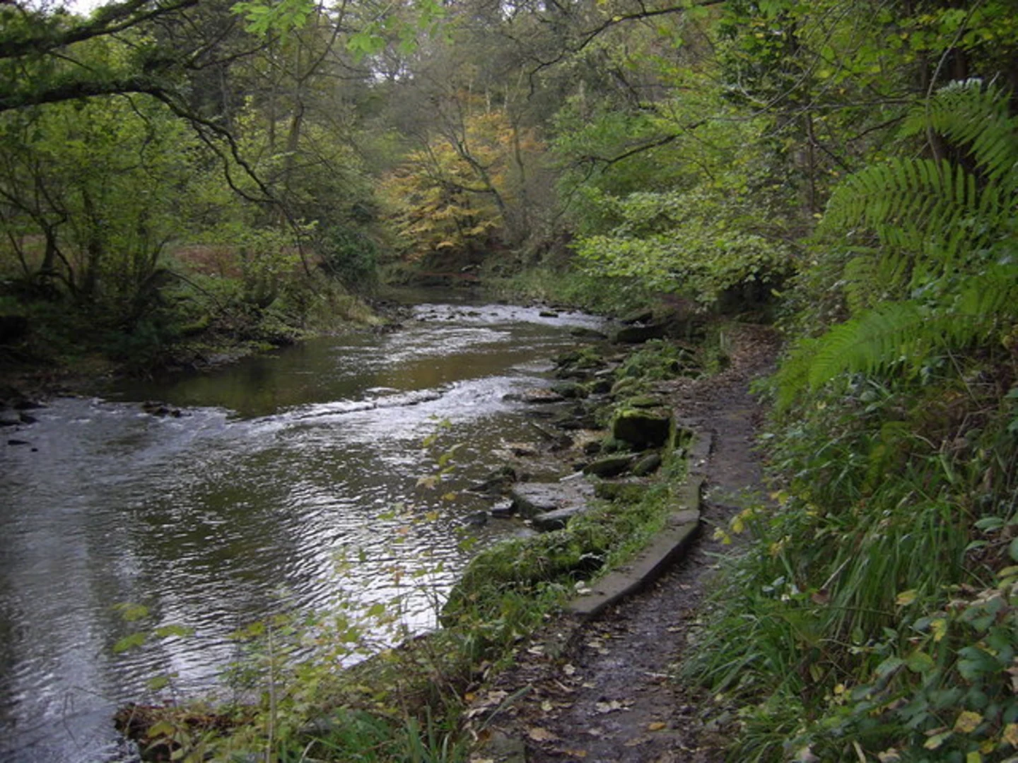 An image depicting the trail Bedlington Country Park and its surrounding area.