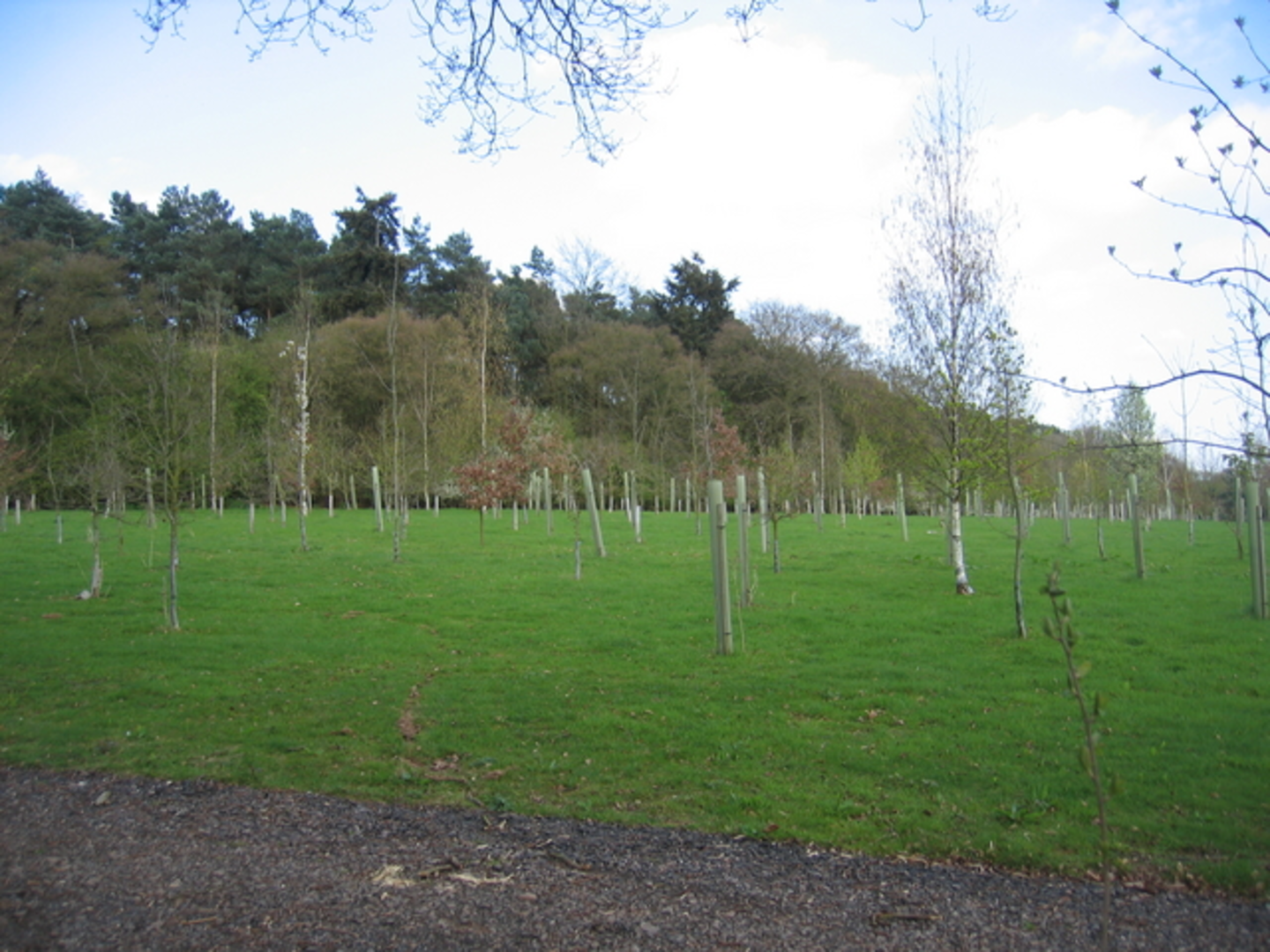 An image depicting the trail Heart of England Forest - Spernal and Morgrove Coppice Loop and its surrounding area.