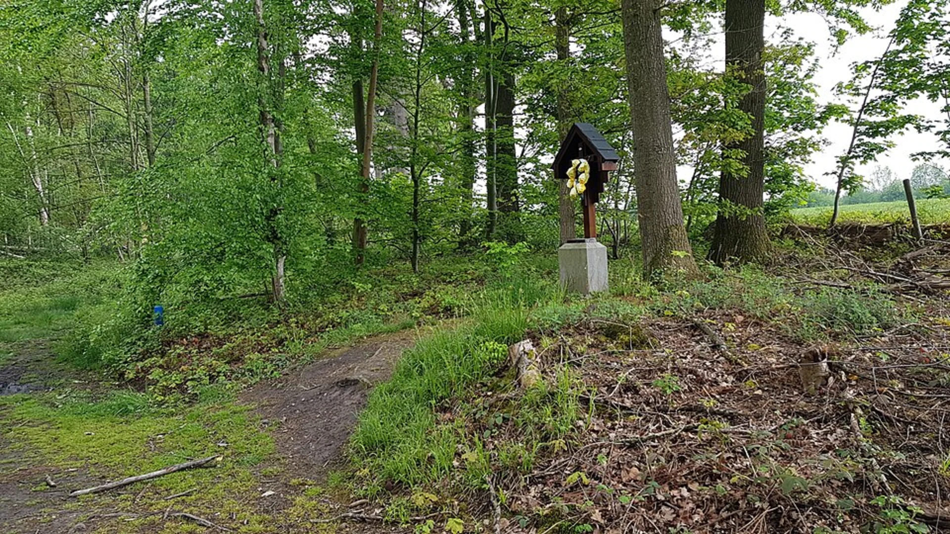 An image depicting the trail Onderste Bosch and Bosreservaat Teuvenerberg via Haenenbergpad and its surrounding area.