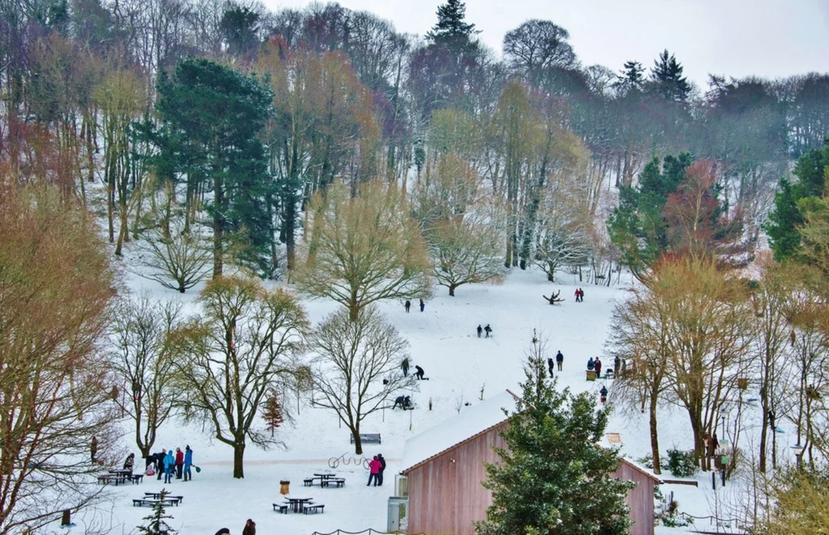 An image depicting the trail Yeovil Country Park and its surrounding area.