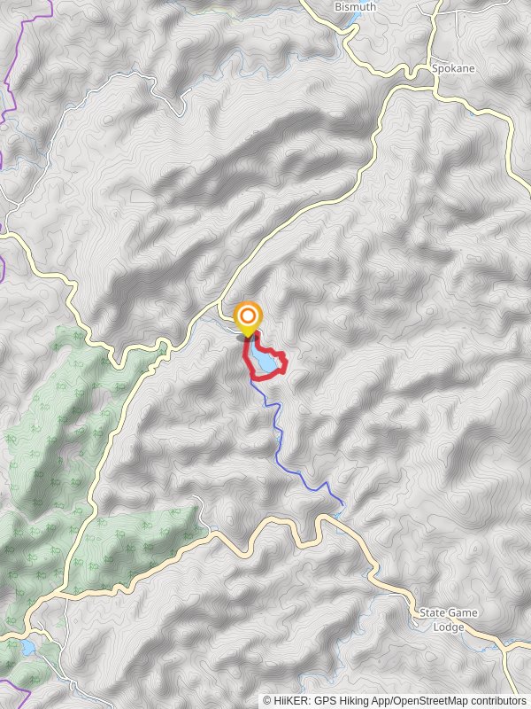 Center Lake via The Lost Trails - Lower and Grace Coolidge Creek Loop