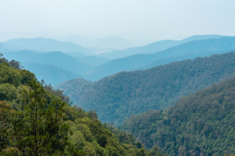Gloucester Falls Track