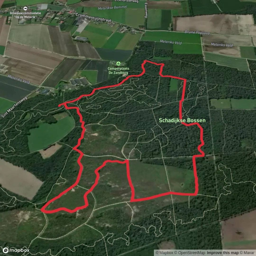 An image depicting the trail Schadijkse Bossen Loop and its surrounding area.