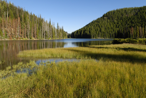 An image depicting the trail Moraine Lake via Elk Devil's Trail and its surrounding area.