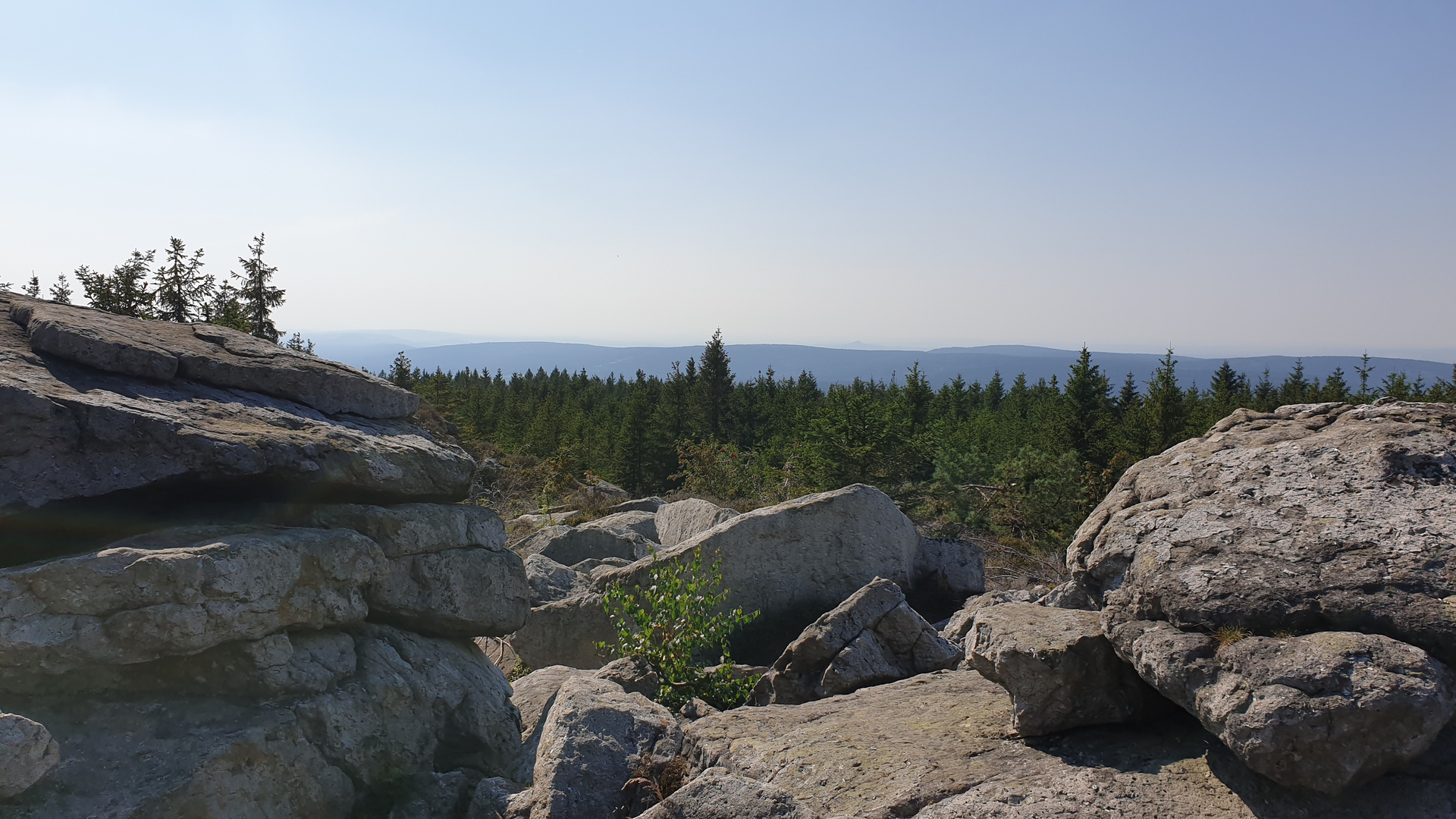 An image depicting the trail Ochsenkopf and Seweckenberge Loop and its surrounding area.