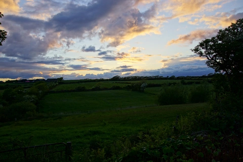 Durrow Leafy Loops - Dunmore Woods Loop