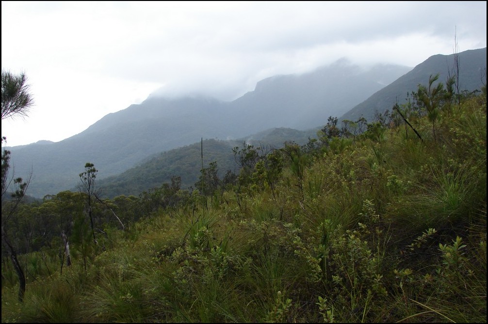 An image depicting the trail Hinchinbrook Island National Park and its surrounding area.