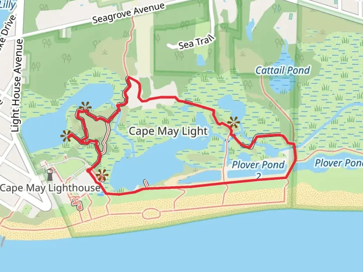 An image depicting the trail Shallow Pond Loop and its surrounding area.