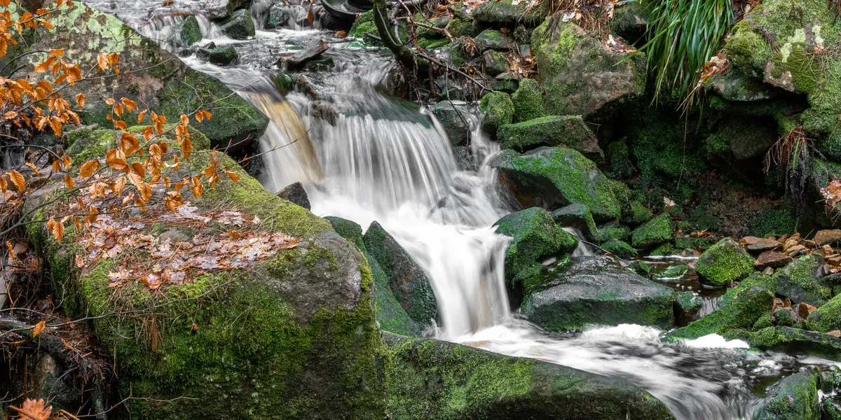 Whithnell Moor and Great Hill from Brinscall